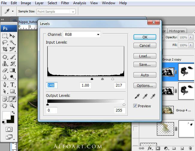 hippo, photoshop, nest, egg, shell, flying hippo, cute, baby, wings, hippopotamus, feathers